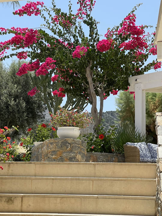 Gartenanlage Ikaros Beach Luxury Resort & Spa - Adults Only