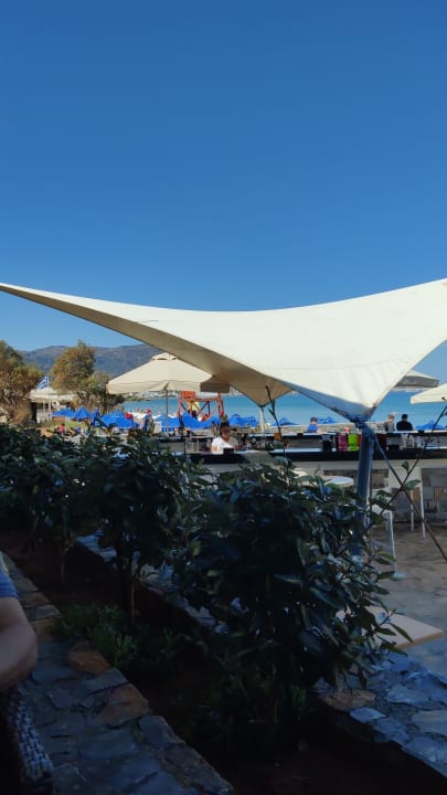 Gastro allsun Hotel Malia Beach