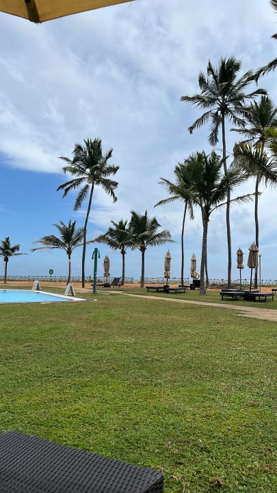 Pool Club Hotel Dolphin
