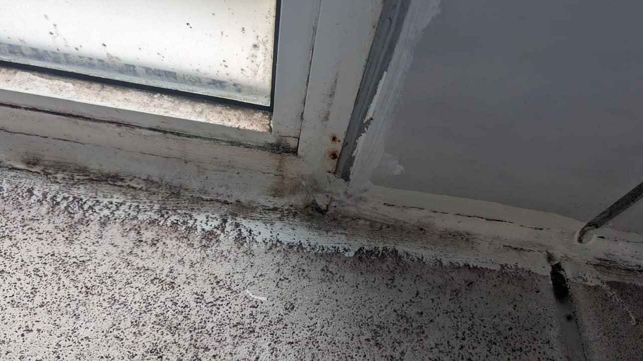 Pool Ferienhaus D1230 - Kegnæs Strand