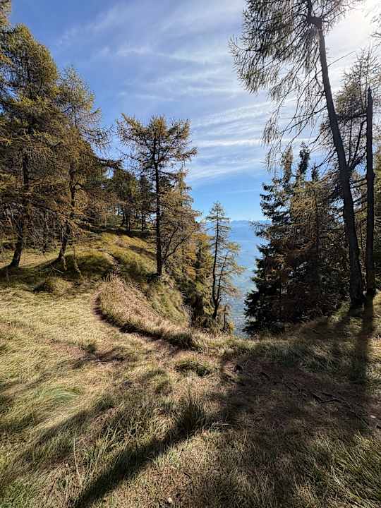 Sonstiges Panoramahotel Penegal