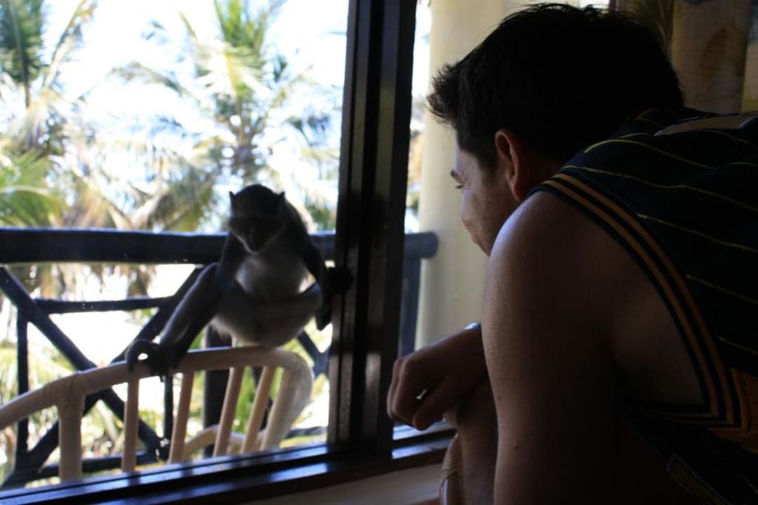 Besucher auf dem Balkon Hotel Papillon Lagoon Reef