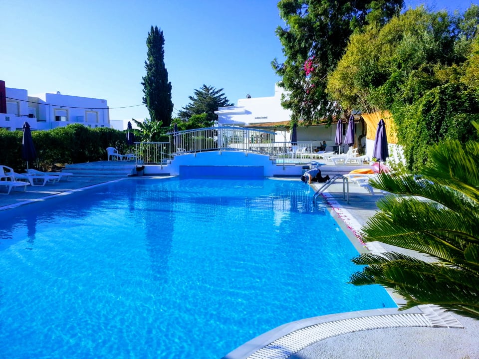 Pool Notos Hotel