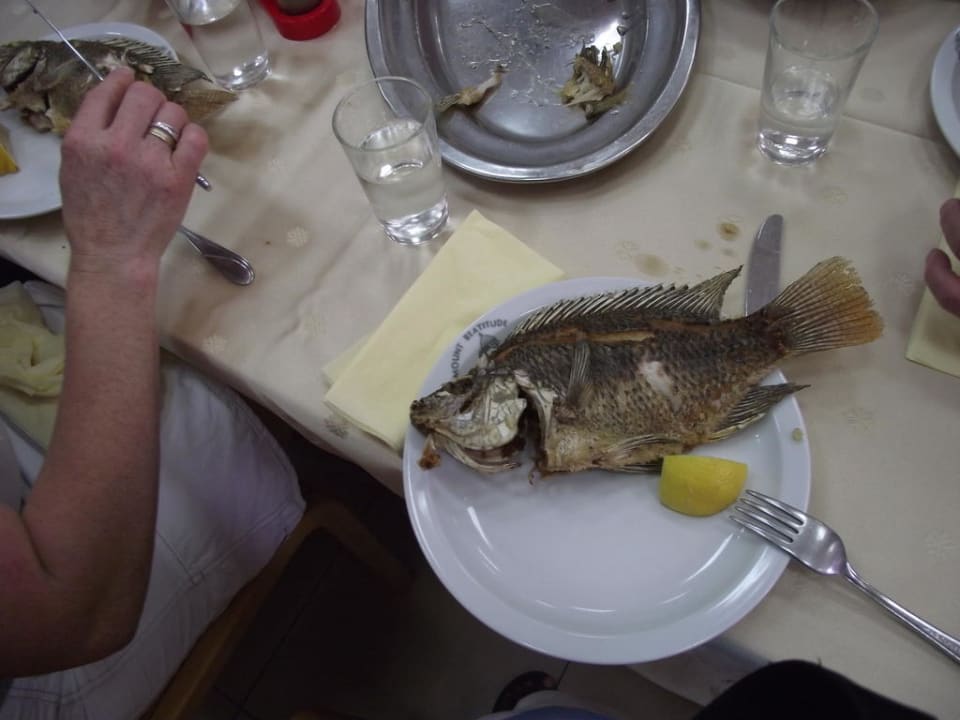 Petersfisch Hotel A.N.S.M.I. Mount of Beatitudes