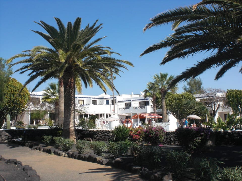 Vom Garten zur Apartmentanlage Relaxia Olivina