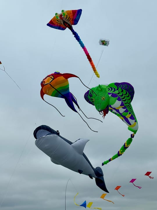 Ausblick Hotel Fährhaus