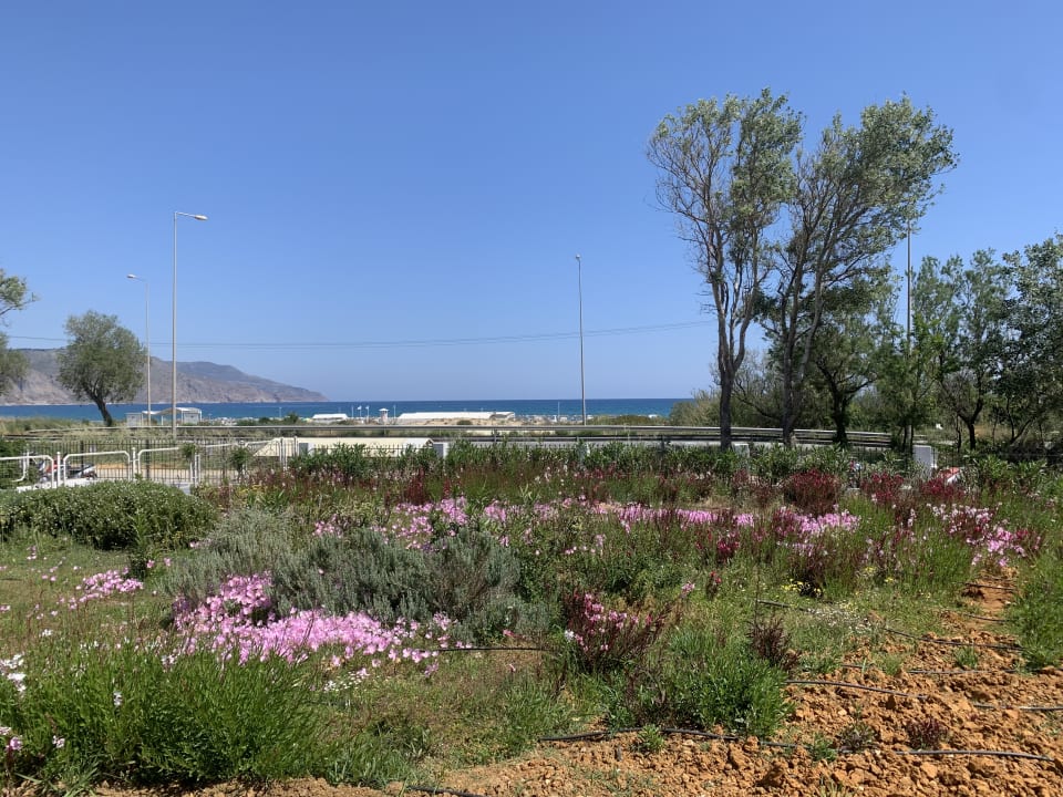 Ausblick Anemos Luxury Grand Resort