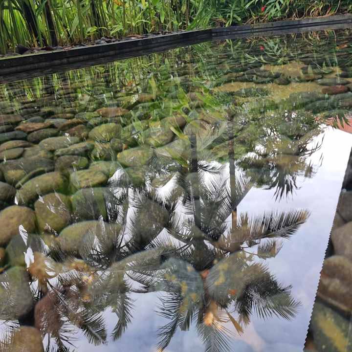 Gartenanlage Conrad Bali