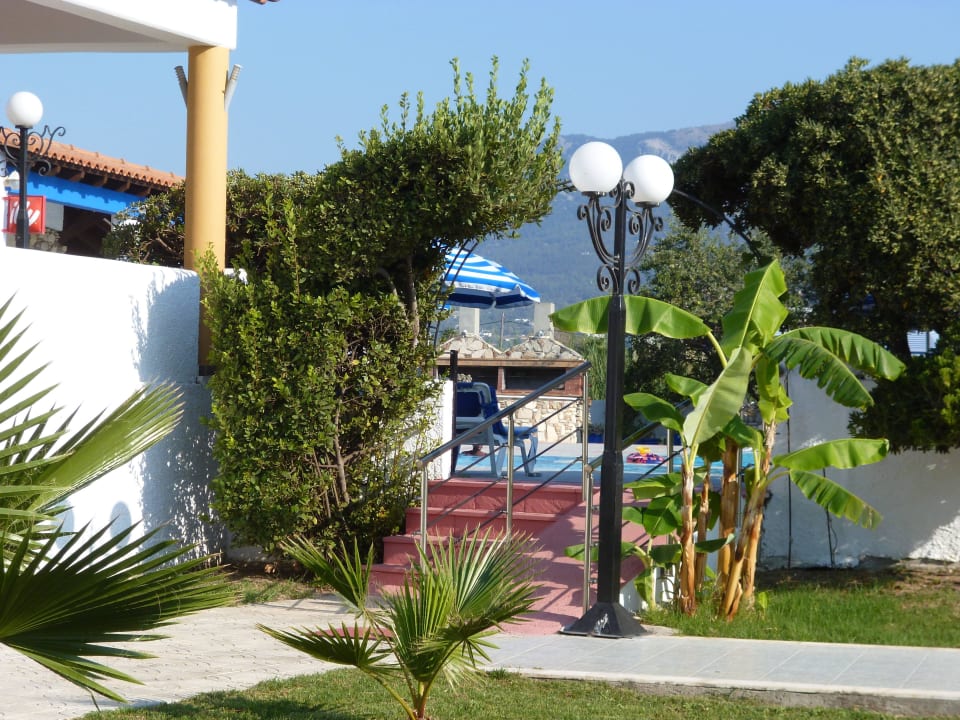 Blick zum Pool Hotel Tigaki's Star