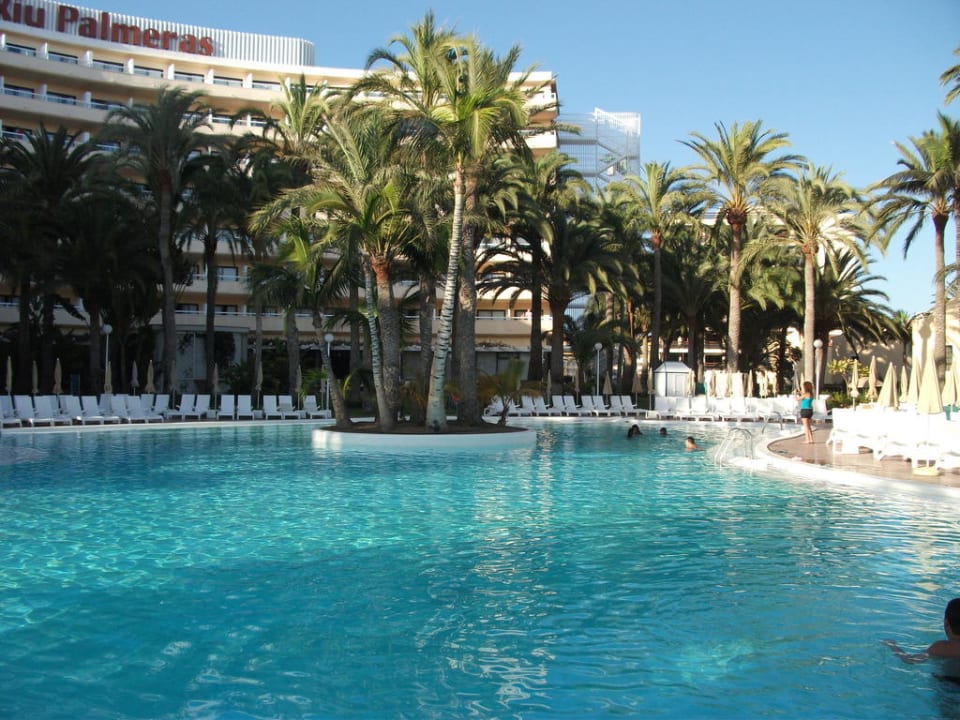 Das war immer wieder ein Genuss Hotel Riu Palace Palmeras