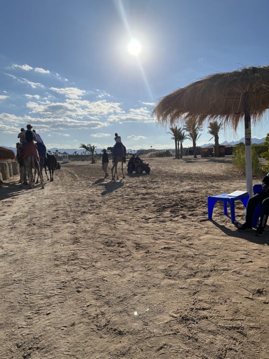 Strand Sentido Caribbean World Soma Bay