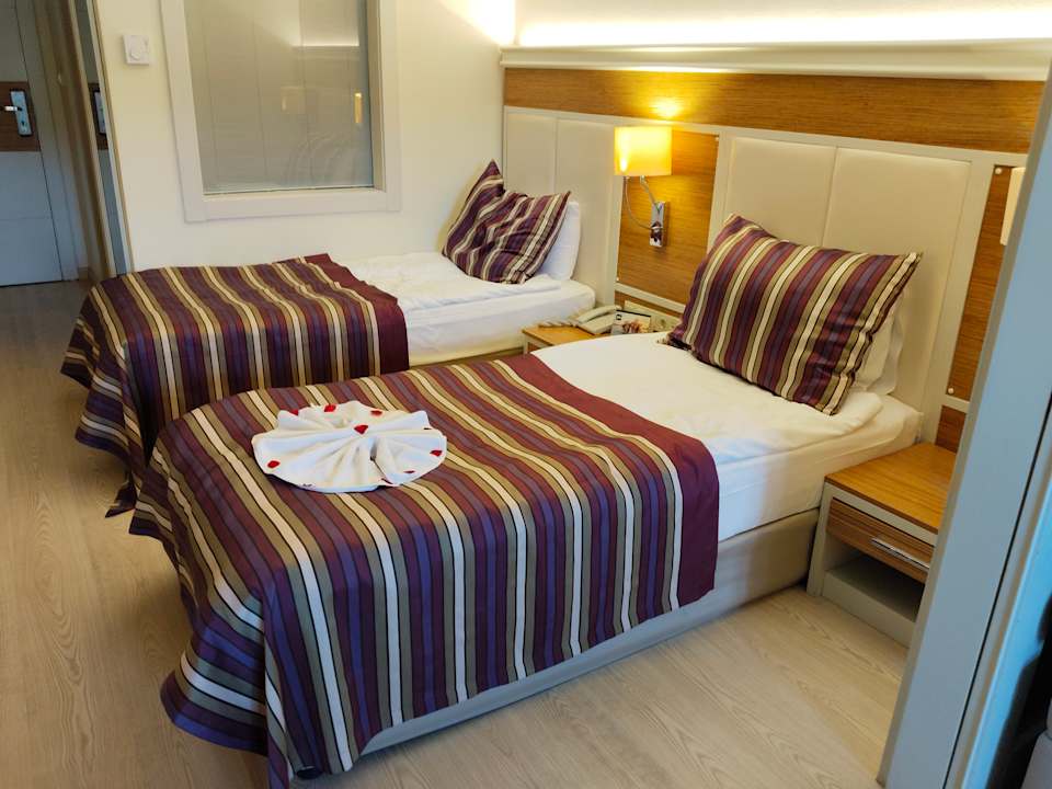 Zimmer AQI Pegasos Royal