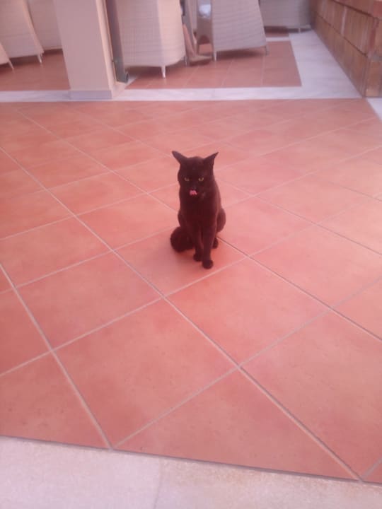 Sonstiges Bella Beach Hotel