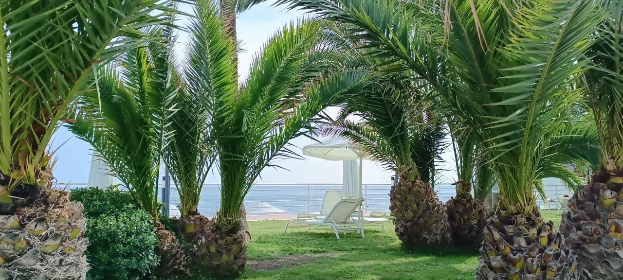 Gartenanlage Paloma Pasha