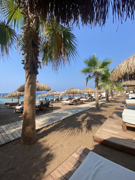 Strand Rubi Platinum Sign