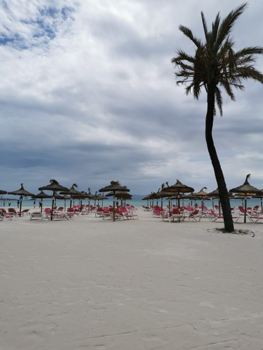 Strand Seaclub Alcudia Mediterranean Resort