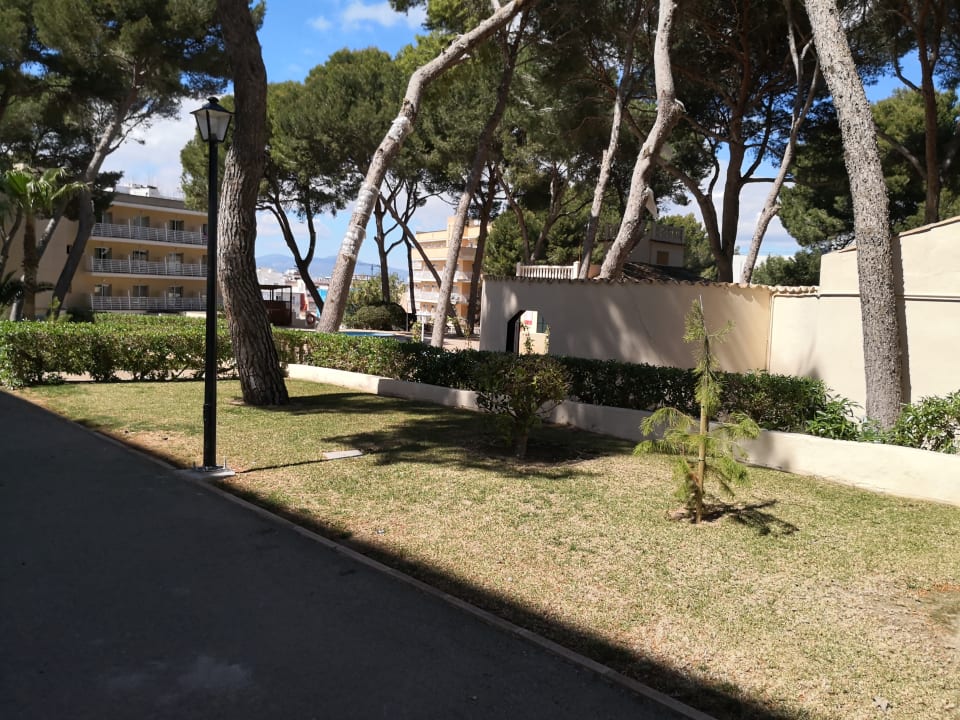 Gartenanlage MLL Palma Bay Club Resort
