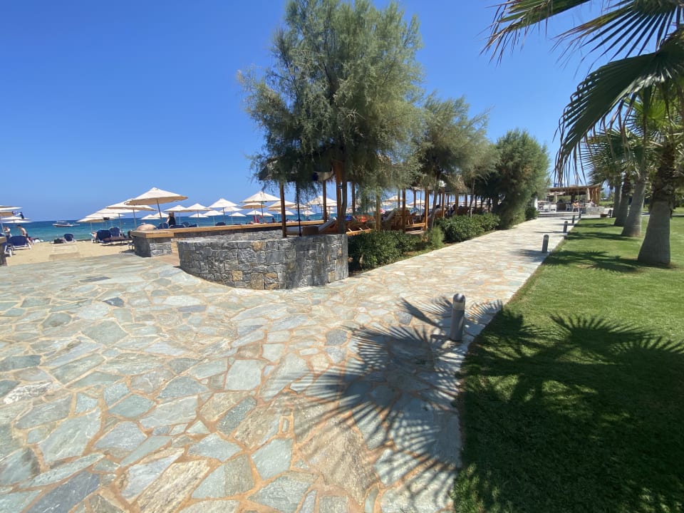 Gartenanlage Calimera Sirens Beach