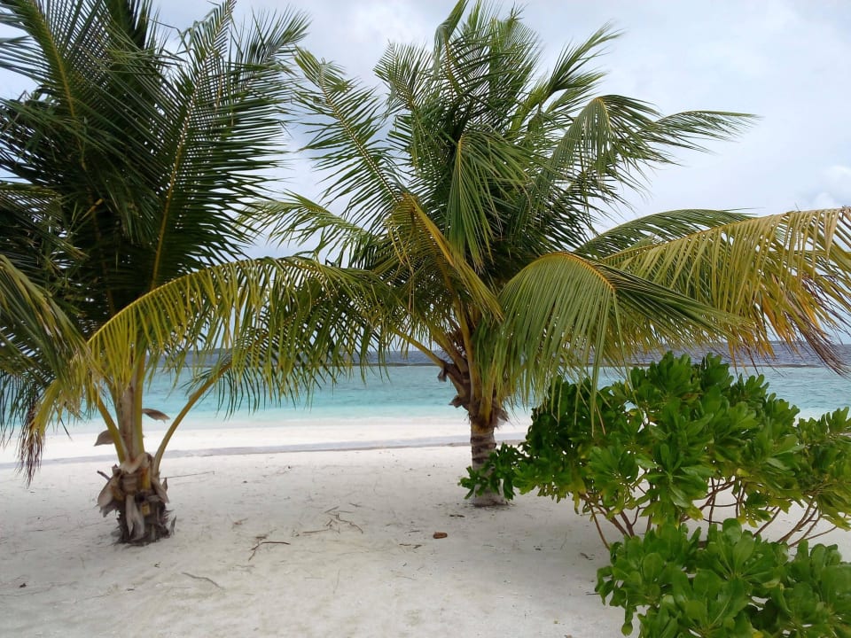 Super Strand Adaaran Select Meedhupparu Island Resort - Premium All Inclusive