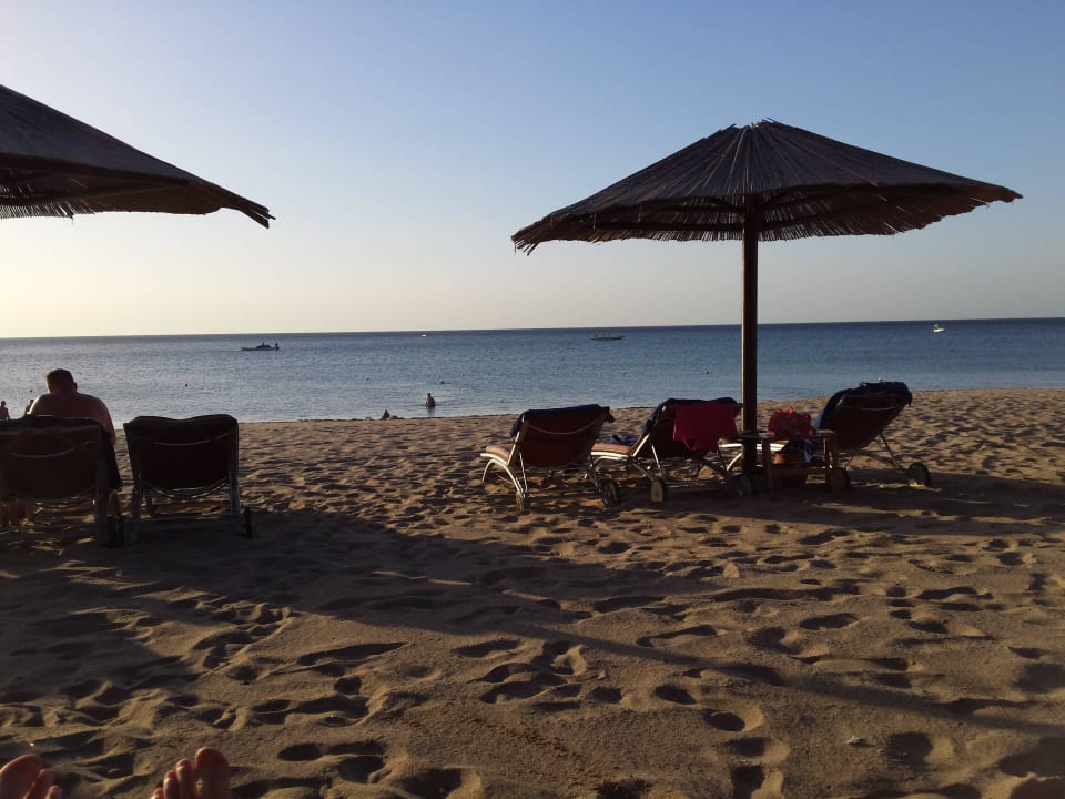 (Kurz nach Sonnenaufgang) Miramar Al Aqah Beach Resort