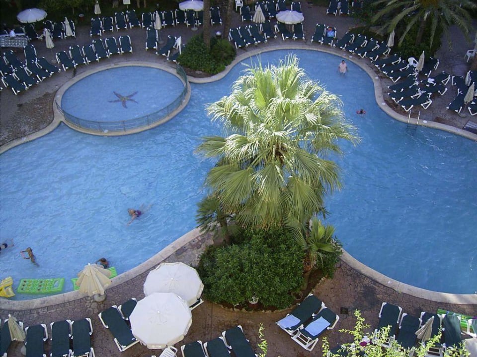 Pool Protur Palmeras Playa Aparthotel