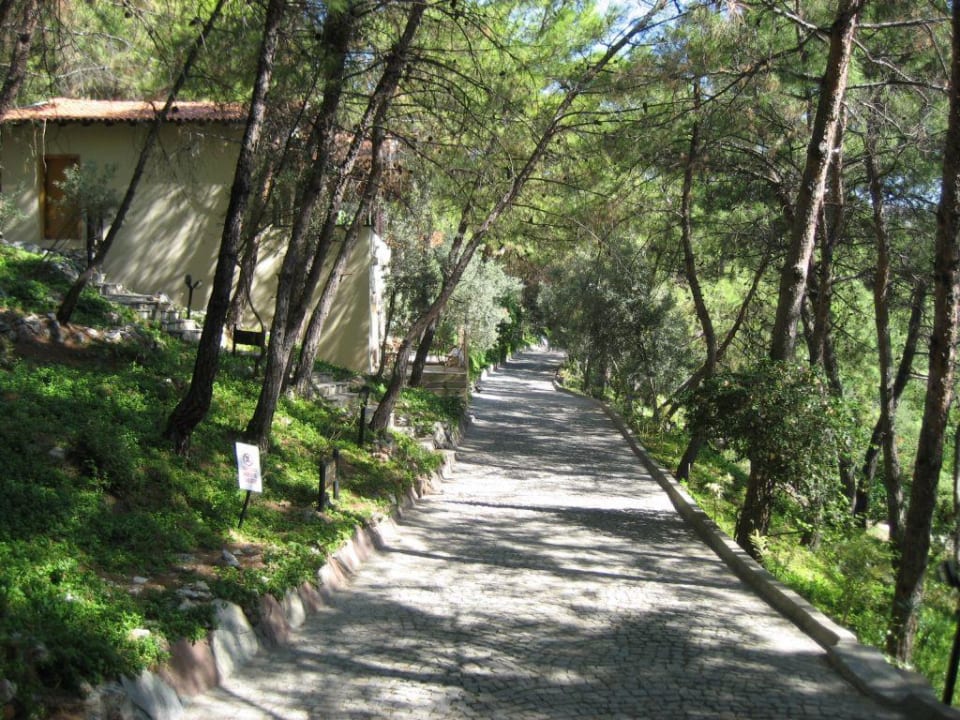 Bungalows TUI MAGIC LIFE Sarigerme