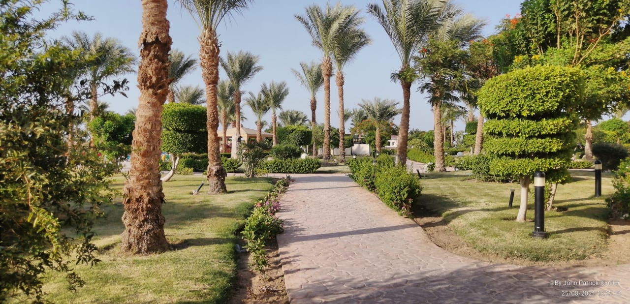Gartenanlage Hurghada Long Beach Resort