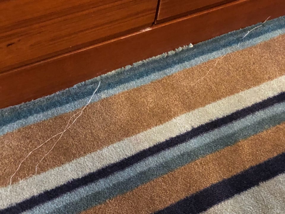 Zimmer Hotel Pine Bay Holiday Resort