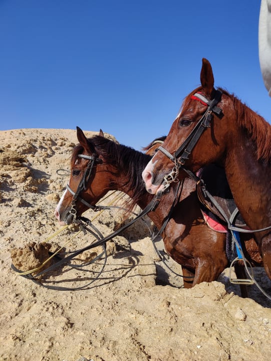 Sport & Freizeit Three Corners Sea Beach Resort