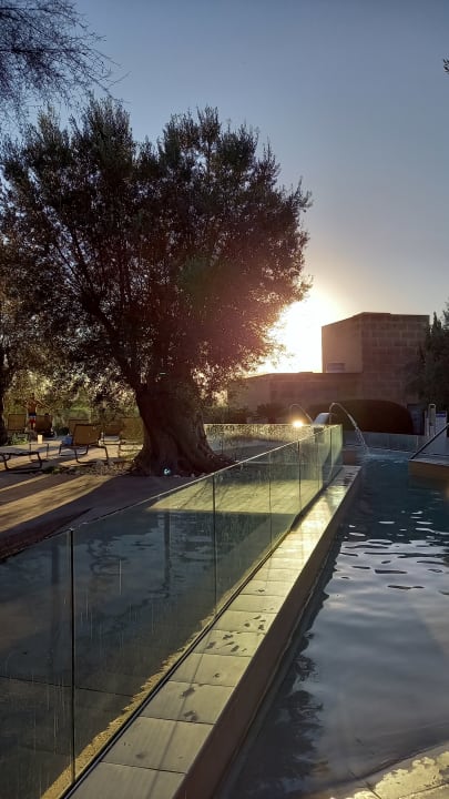 Gartenanlage PortBlue Club Pollentia Resort & Spa