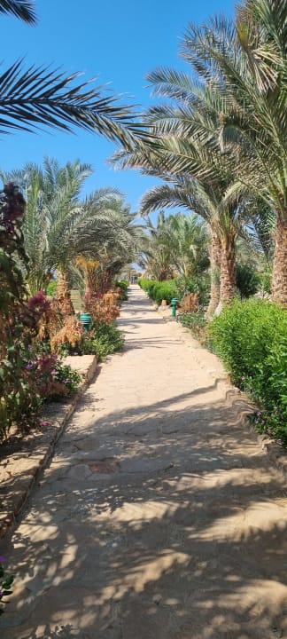 Gartenanlage Pensée Royal Garden Beach Resort