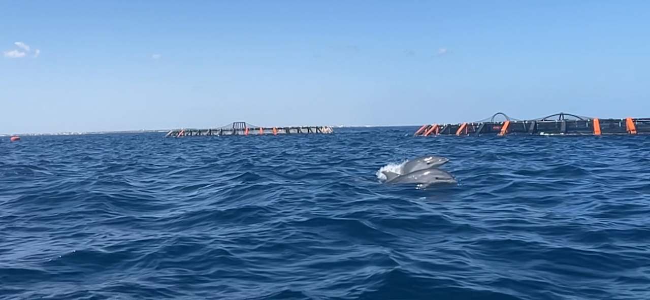 Strand Nour Palace Resort & Thalasso