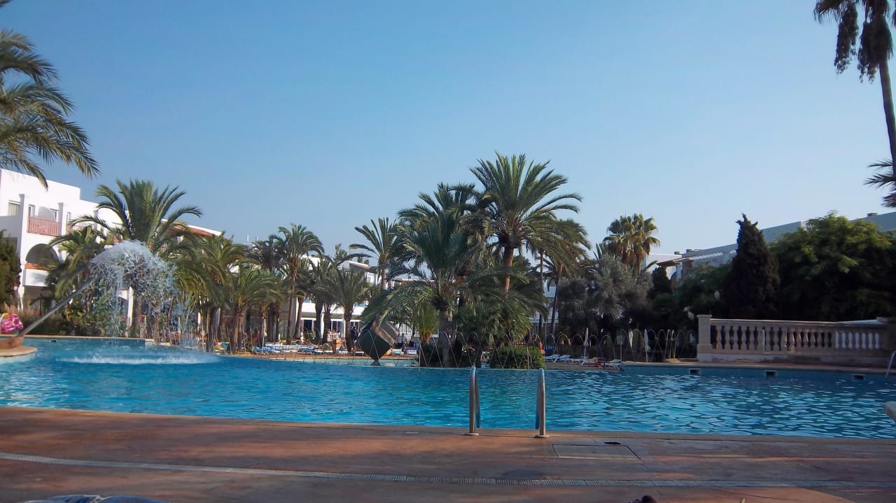 Der Pool Calimera Fido Gardens