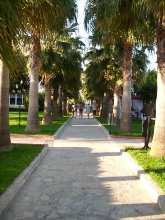 Weg zum Hotel Hotel Royal Garden Beach