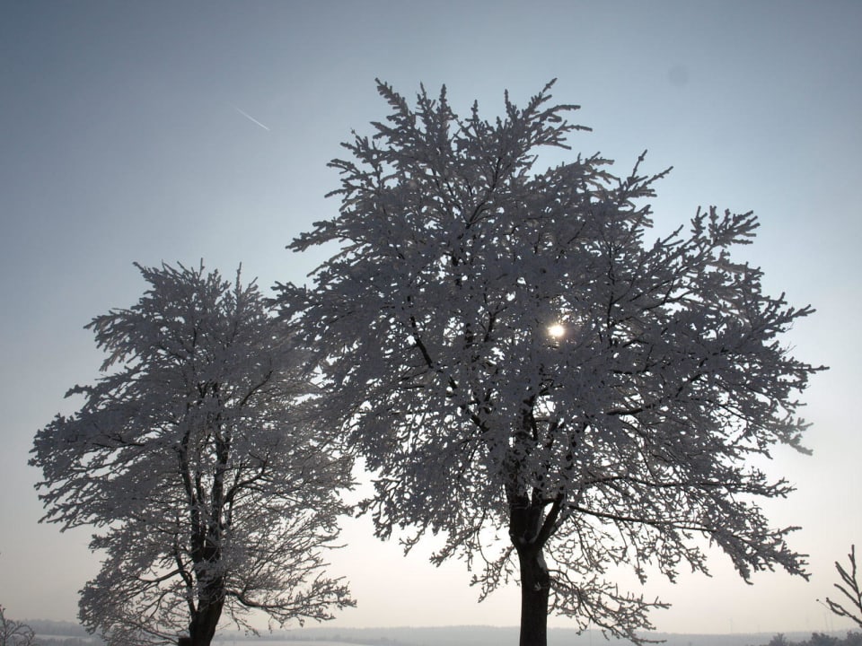 Winterzeit Erzgebirgspension Thomas und Art & Design