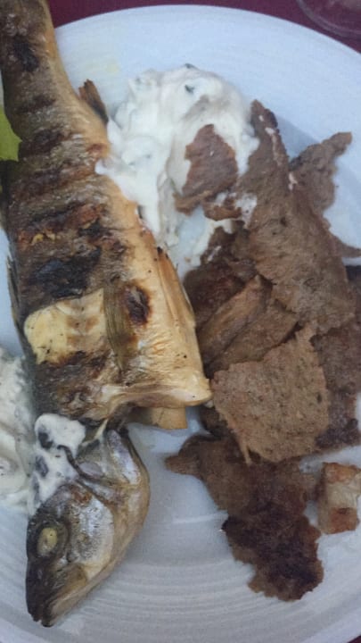 Gastro Asteria Collection Side