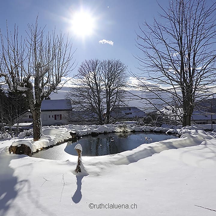 Gartenanlage Revital