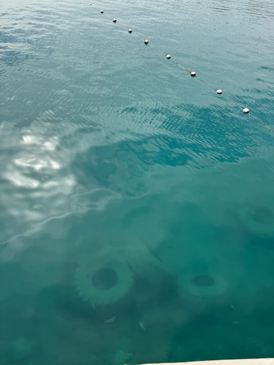 Strand Serry Beach Resort