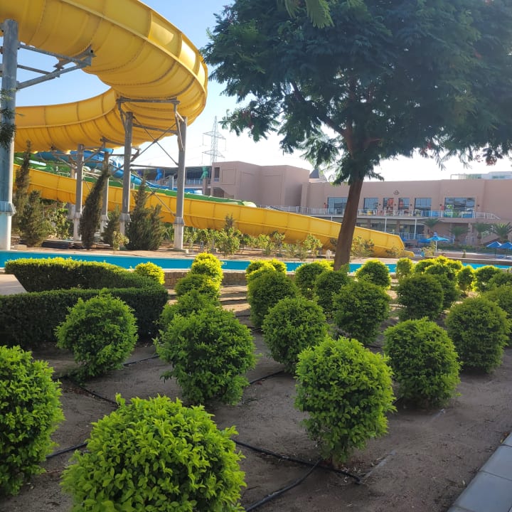Gartenanlage Pickalbatros Jungle Aqua Park Resort - Neverland Hurghada