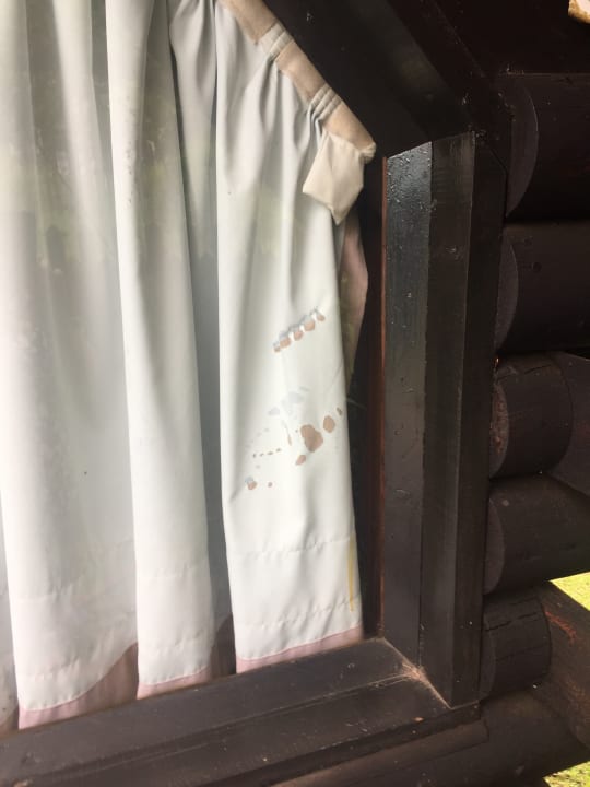 Zimmer Hotel Tsitsikamma Lodge