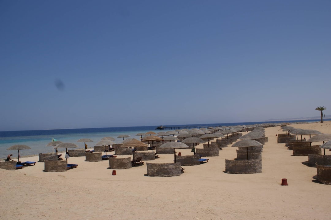 Nur ein Teil der Liegen am Strand Hotel Gorgonia Beach Resort
