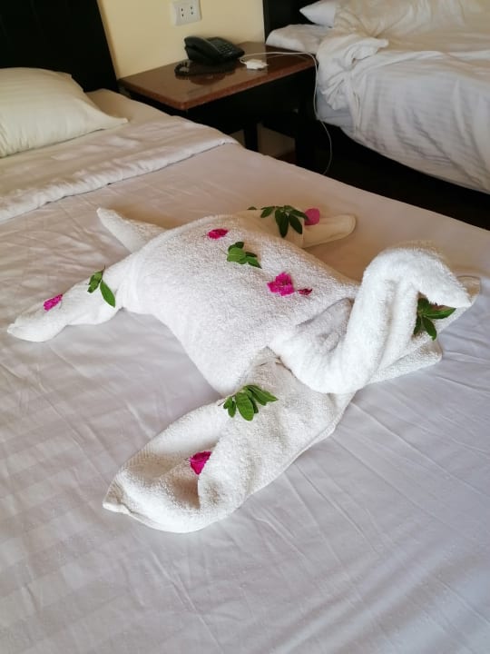 Zimmer Three Corners Sea Beach Resort