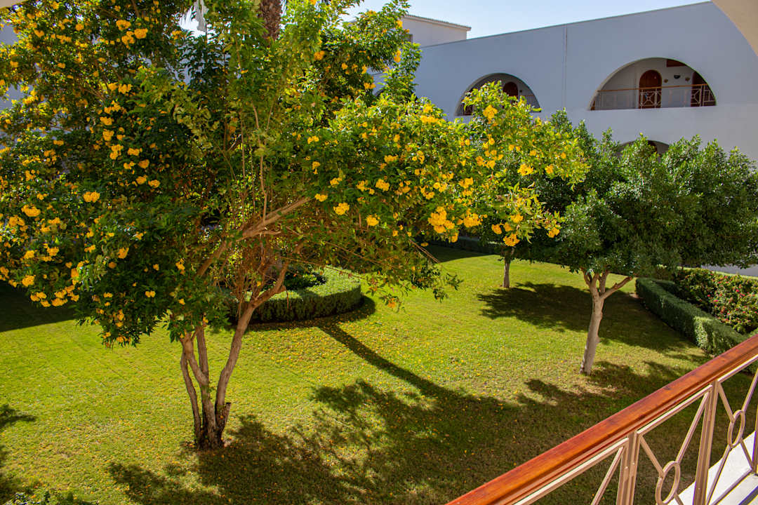 Gartenanlage Desert Rose
