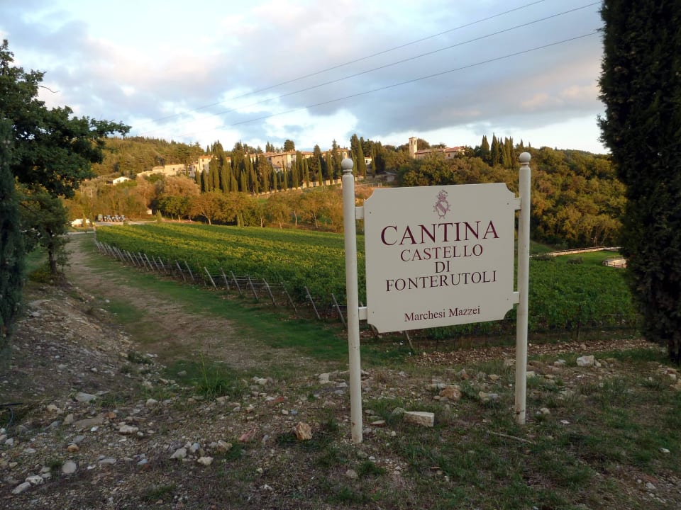 Blick auf Fonterutoli vom Weinberg aus Hotel Locanda di Fonterutoli