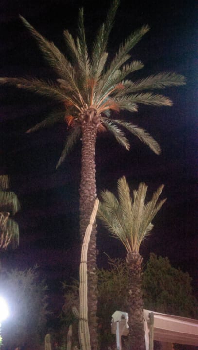 Gartenanlage Saphir Hotel & Villas