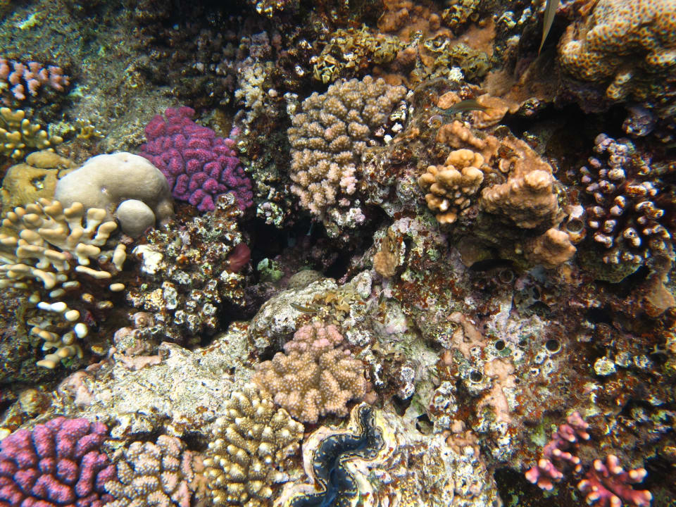 Sport & Freizeit Three Corners Equinox Beach Resort