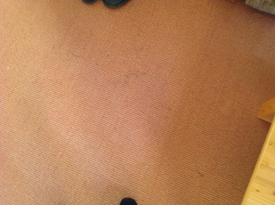 Verfleckter Teppih Naturhotel Etzdorfer Hof