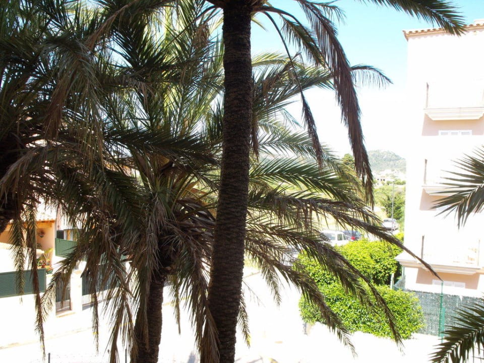 Vom Hotel in Richtung Westen, also zur Landseite Sol y Mar Apartments