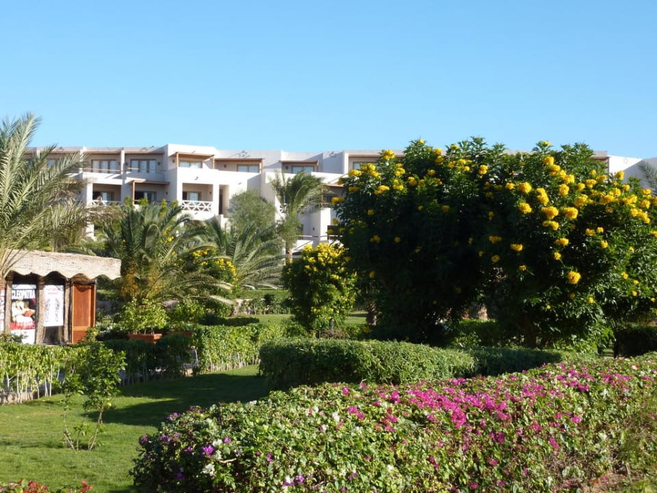 Gartenanlage mit Stück Hotelansicht Fort Arabesque Resort, Spa & Villas