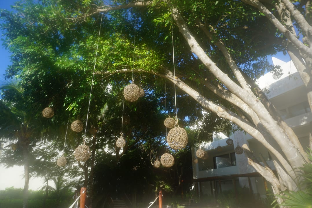 Gartenanlage Akumal Bay Beach & Wellness Resort